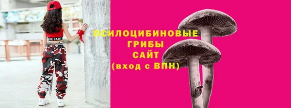 метадон Михайлов
