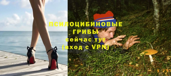 метадон Михайлов