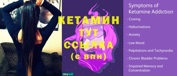 крисы Козельск