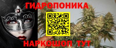 индика Балахна