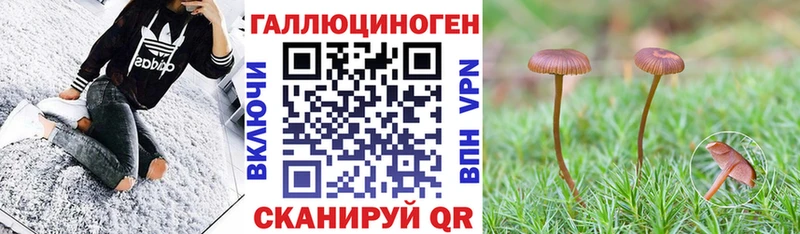 Галлюциногенные грибы MAGIC MUSHROOMS  сколько стоит  Волжск 