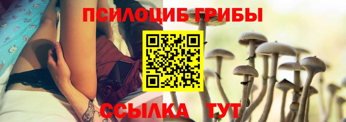 Галлюциногенные грибы MAGIC MUSHROOMS Волжск