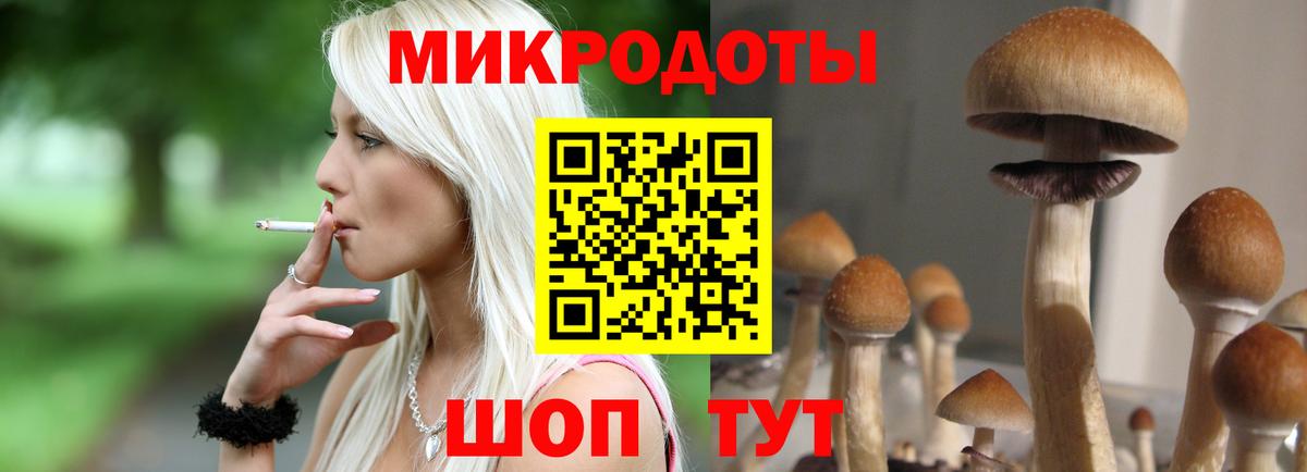 Псилоцибиновые грибы MAGIC MUSHROOMS  Вход с VPN  Волжск 